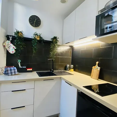 L 45 Apartment *