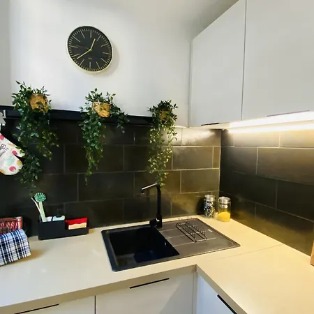 L 45 Apartamento Rodez